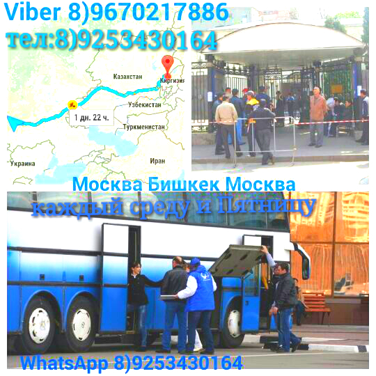 Москва-Бишкек-москва