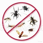 Дизенфекция от клопов,тараканов,мышей и.т.п.