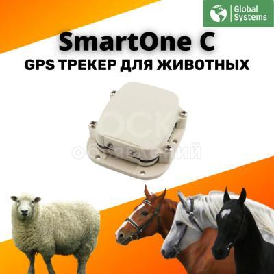 Мониторинг за животными / GPS трекер SmartOne C