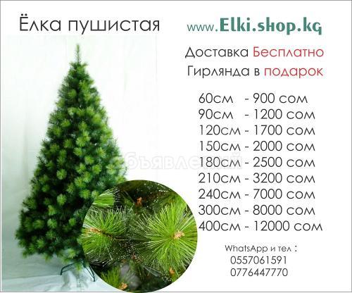 Ёлки с бесплатной доставкой по Бишкеку + подарок гирлянда)