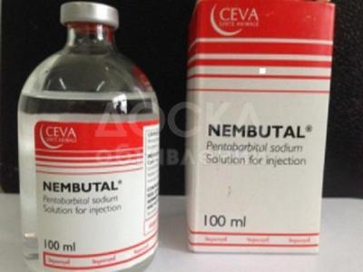 Купить нембутал (пентобарбитал натрия) онлайн