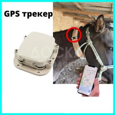 GPS трекер для лошадей, коров, крупного рогатого скота SmartOne C