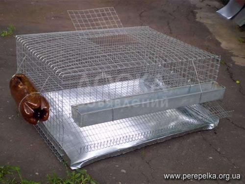 Срочно продаю клетку!