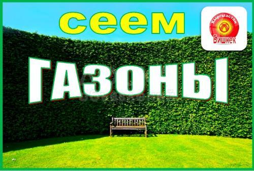 Сеем газоны