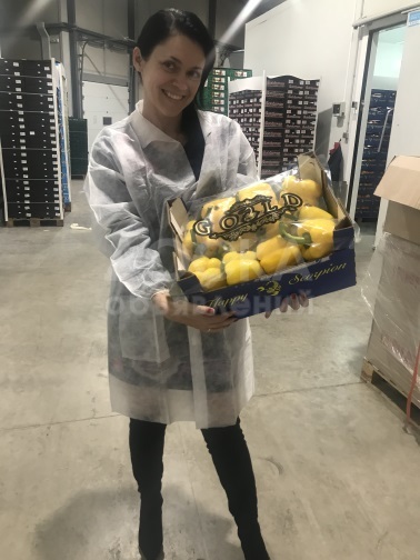 Продаем перец из Испании