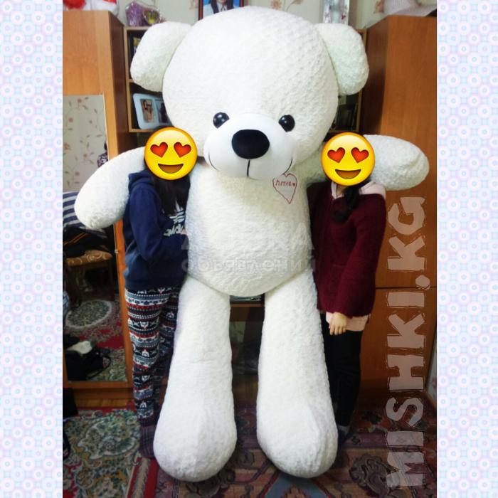 2.5 метровый мишка. mishki.kg