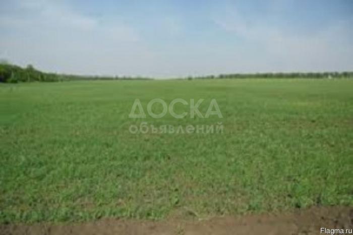 Продаю участок под строительство, 3 га Тунгуч,