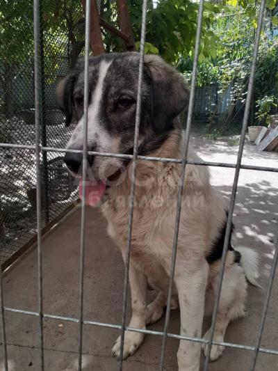 Очаровательный кабель ищет своего хозяина