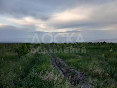 Продаю участок сельхоз назначения, 25 га Кегети .