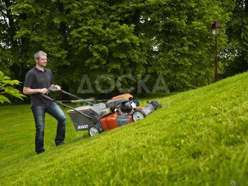 Мы предлагаем вам: 
Посадку газона,
Уход за газоном,
Посадку, пересадку деревьев,
Установка полив системы,
Услуги дизайнера по ландшафту,
Сервисное обслуживание вашего участка.
+996 558 50-57-70