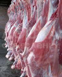 Мясо оптом и в розницу ХАЛАЛ (доставка по городу бесплатно)