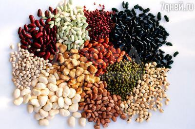 Куплю фасоль любых сортов