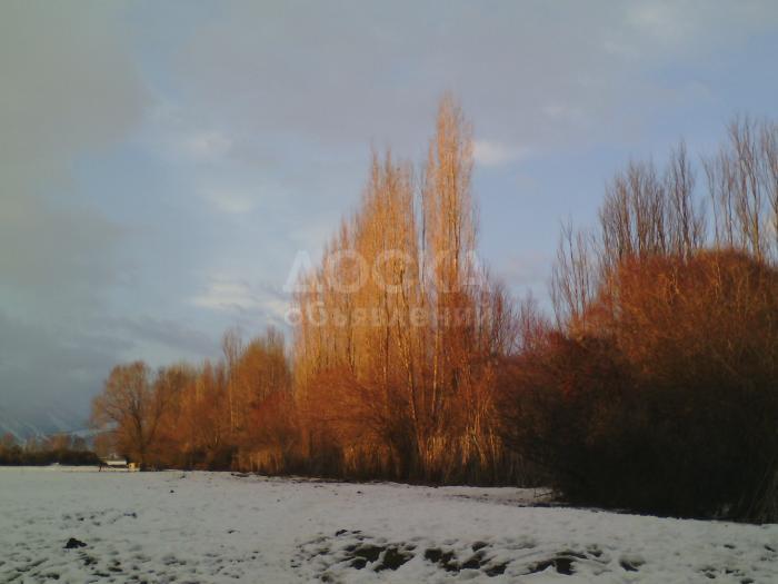 Продаю участок под строительство, 6 га с. Семёновка,