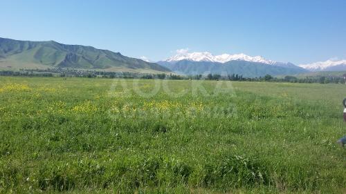 Продаю участок под строительство, 5;25 соток г.БИШКЕК с.КОК-ЖАР . по Алма-Атинской. выше магистраля.