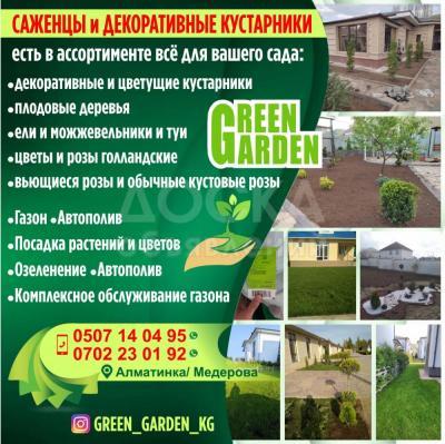 Саженцы и декоративные кустарники