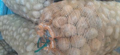 Картошка сатылат