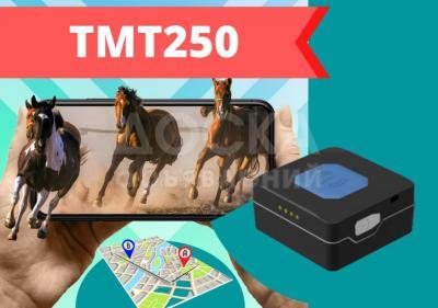 GPS трекер Teltonika TMT250 для мониторинга людей, животных, транспорта, выездных сотрудников