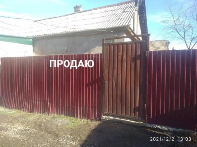 шашылыш турдо 3болмолуу жарым уй сатылат