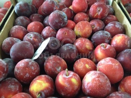 Сливы из Испании