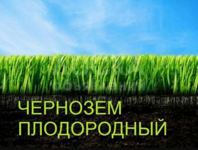чернозем супер качества перегной 0706404303