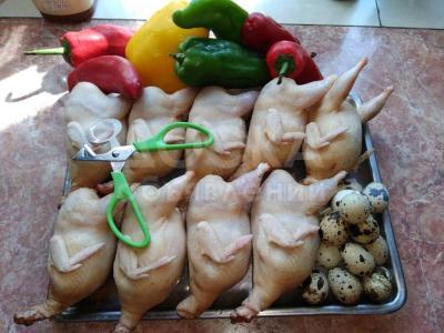 Перепелиные яйца и мясо