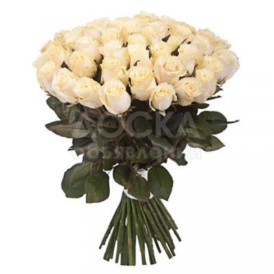 Продаю РОЗЫ (Голландия). Отличные !!!