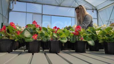 Стол для выращивания растений с откатной крышкой.