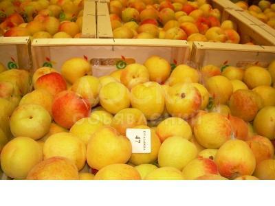 Абрикосы из Испании