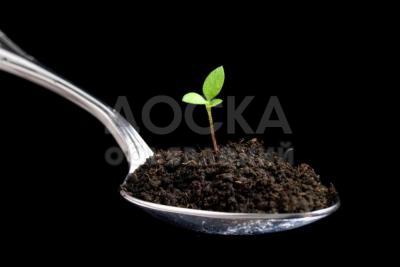 Чернозем в любом количестве!