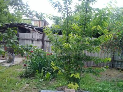 Продаю дом 4-ком. 77кв. м., этаж-1, 8,5-сот., стена кирпич, Ново Павловка.