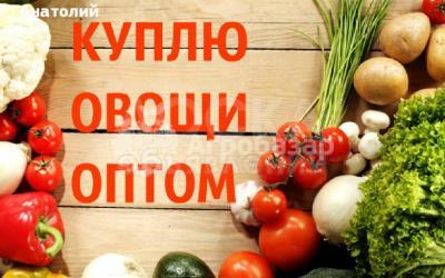 Куплю оптом Фрукты, овощи,бахчаевы ягоды и другую с/х продукцию.