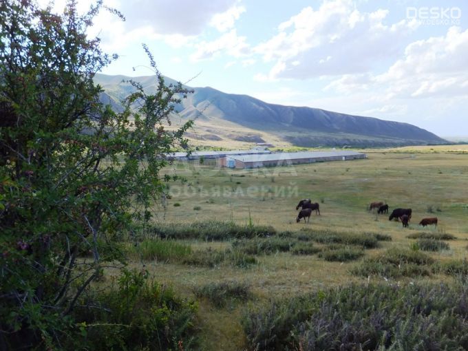 Продается ферма +Участок - 112 га