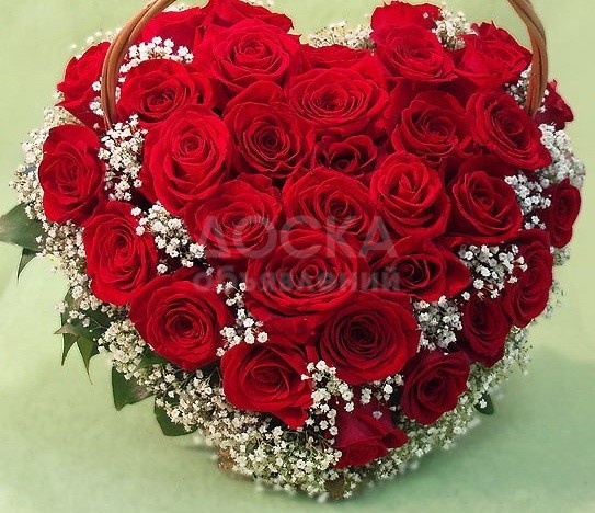 Подарите прекрасные розы любимой! розы на любой вкус!