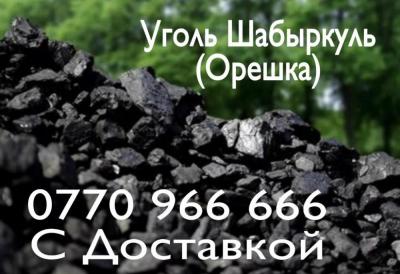 Уголь Шабыркуль