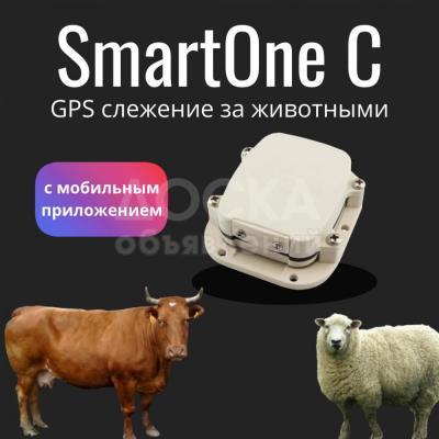 Специальный GPS трекер SmartOne C для слежения за животными