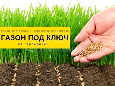газон под "ключ"! посев газона, бишкек. www.gazon.alladin.kg/ звоните 0554 18 38 38