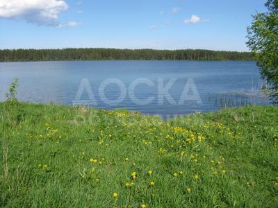 Продаю подсобное хозяйство 9 ГА + 2 пруда + жилой дом, б/п     хоз постройки. вода, 3 фазы  адрес: Чуйская область, Московский район .