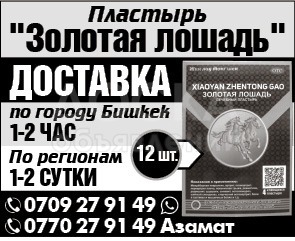 золотая лошадь, пластыри от боли в суставах