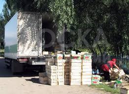 Жети-Огузские Абрикосы!
Заготовка, Охрана, Стоянка, Сопровождение, Отправка в Россию и Казахстан, Гарантия на качество 100%.