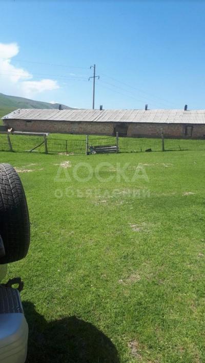 Ферма Сары-Жон.