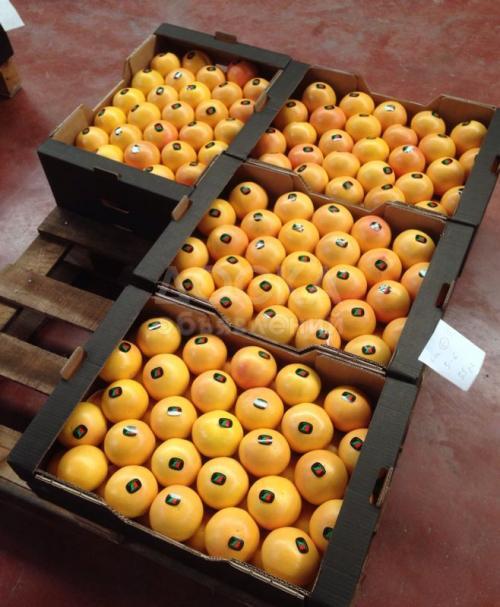 Грейпфрут Pomelo из Испании