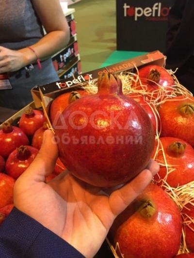 Продаем гранат из Испании