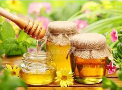 Продаю Горный Мед

 

Мед разнотравье 

+ продукты Пчеловодства

 

Доставка !!!