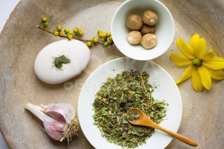 Целитель (большой опыт работы). Оздоровление организма.