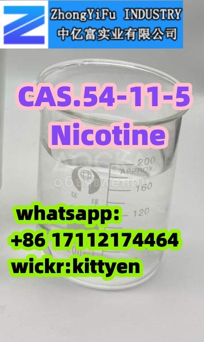Factory Supply Nicotine CAS 54-11-5 +86 17112174464