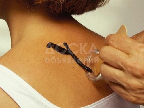 Продаю пиявки