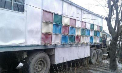 Продаю пасеку и павильон для пчел