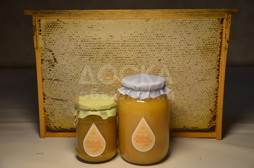 Обучение пчеловодству с трудоустройством, он-лайн