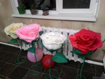 РОСТОВЫЕ ЦВЕТЫ