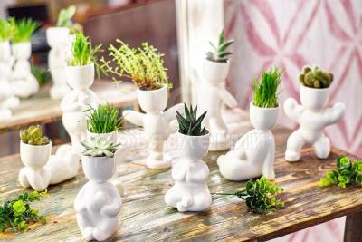 Экочеловечки-набор для выращивания